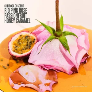 Подарочный набор Sol de Janeiro Rosa & Shine