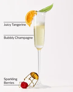 Увлажняющий санитайзер для рук Bath & Body Works PocketBac Moisturizing - Champagne Toast, 29 мл