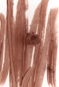 Контурный карандаш для губ Rhode peptide lip shape - Twist