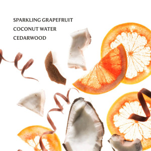 Спрей для рук дезинфицирующий и увлажняющий Touchland Power Mist Hydrating Hand Sanitizer - Beach Coco