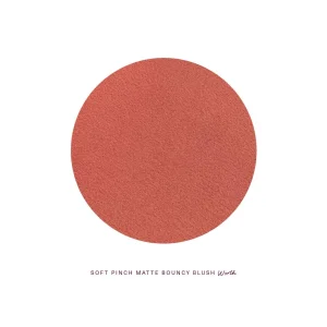 Rare Beauty by Selena Gomez Soft Pinch Matte Bouncy Blush - Worth mat rumyana