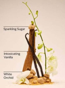Парфюмированный шиммер-мист для тела с сиянием Bath & Body Works Warm Vanilla Sugar Diamond Shimmer Mist - 145 мл
