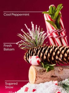 Увлажняющий крем для тела Bath & Body Works Twisted Peppermint Ultimate Hydration Body Cream - 226 г