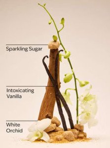 Увлажняющий крем для тела Bath & Body Works Warm Vanilla Sugar Ultimate Hydration Body Cream - 226 г