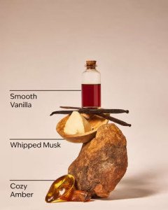 Гель для душа Bath & Body Works - Warm Musk - 295 ml