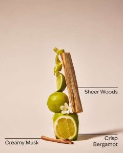 Гель для душа Bath & Body Works - Fresh Musk - 295 ml