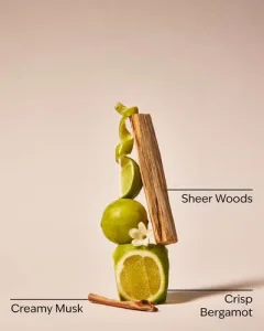 Гель для душа Bath & Body Works - Fresh Musk - 295 ml
