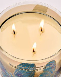 Ароматическая свеча с 3 фитилями Bath & Body Works Blue Orchard Skies 3-Wick Candle - 411 г