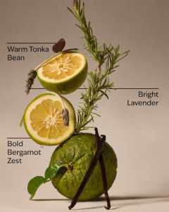 Ароматическая свеча с 3 фитилями Bath & Body Works White Barn Lavender Bergamot 3-Wick Candle - 411 г