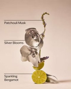 Лосьон для тела Bath & Body Works - Platinum - 236 ml