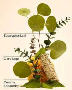 Антибактериальный гель для рук Bath & Body Works PocketBac Aromatherapy Eucalyptus Spearmint