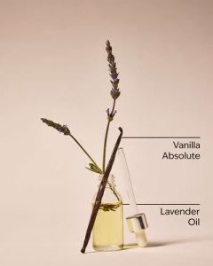 Антибактериальный гель для рук Bath & Body Works PocketBac Aromatherapy Lavender Vanilla