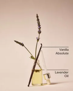 Bath & Body Works PocketBac Aromatherapy Lavender Vanilla antibakterial qo'l geli