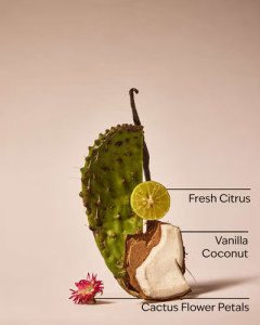 Антибактериальный гель для рук Bath & Body Works PocketBac Cactus Blossom