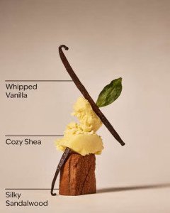 Антибактериальный спрей для рук Bath & Body Works Vanilla Whip