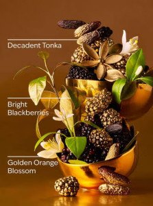 Крем для рук Bath & Body Works Touch of Gold - 29 ml