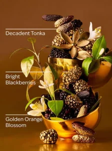 Bath & Body Works Touch of Gold - 29 ml qo'l kremi