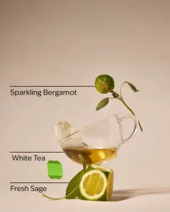 Антибактериальный гель для рук Bath & Body Works PocketBac White Barn White Tea & Sage