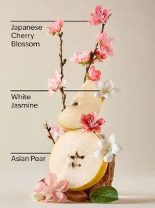 Антибактериальный гель для рук Bath & Body Works PocketBac Japanese Cherry Blossom