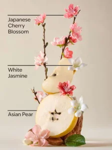 Антибактериальный гель для рук Bath & Body Works PocketBac Japanese Cherry Blossom