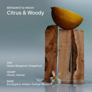 Дезодорант повышенной эффективности без алюминия Salt & Stone Bergamot & Hinoki