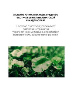 Успокаивающая ампула для лица SKIN1004 Madagascar Centella Ampoule, 55 мл
