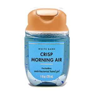 Антибактериальный гель для рук Bath & Body Works PocketBac Crisp Morning Air, 29 мл