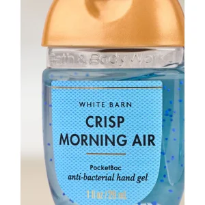 Антибактериальный гель для рук Bath & Body Works PocketBac Crisp Morning Air, 29 мл