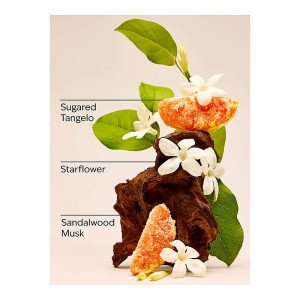 Парфюмированный спрей для тела Bath & Body Works In the Stars Fine Fragrance Mist, 236 мл